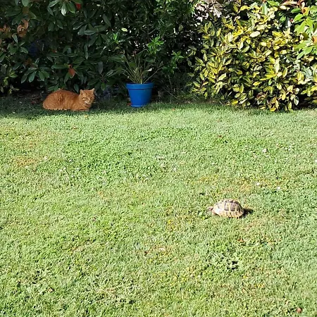 Chez Mamisa, Calme & Nature